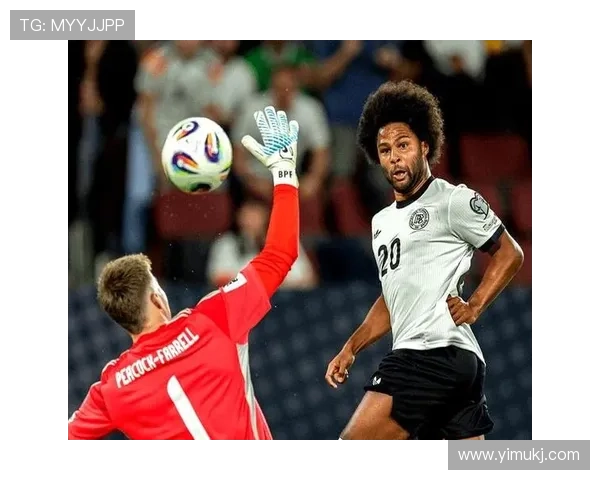 纳格尔斯曼谈格纳布里伤情直言不讳